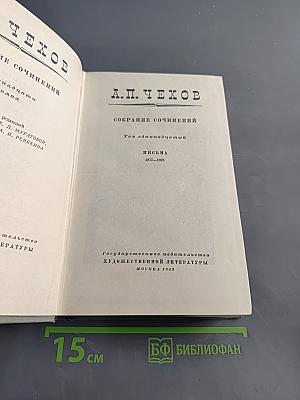 Собрание сочинений. Том одиннадцатый. Письма 1877-1892