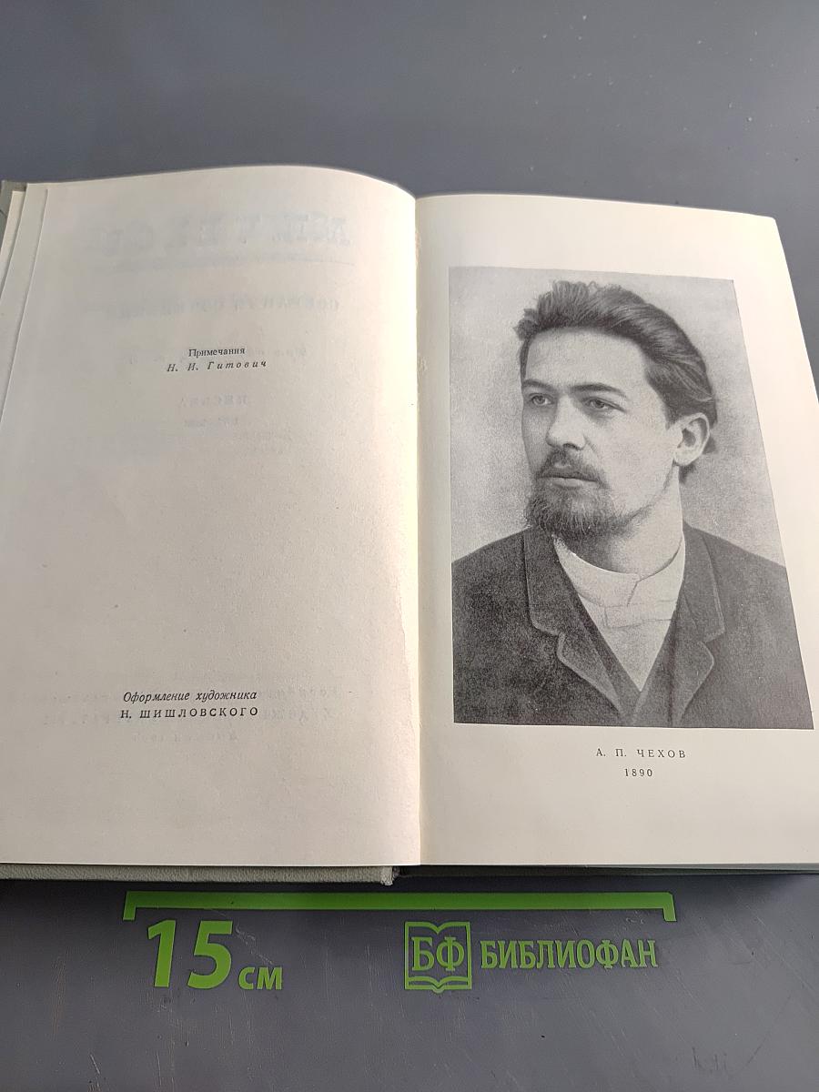 Собрание сочинений. Том одиннадцатый. Письма 1877-1892