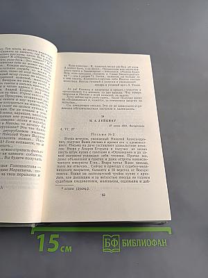 Собрание сочинений. Том одиннадцатый. Письма 1877-1892