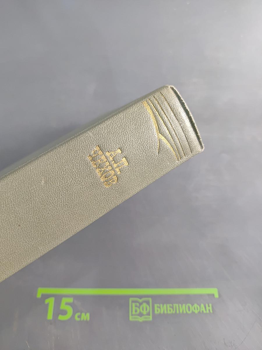 Собрание сочинений. Том одиннадцатый. Письма 1877-1892