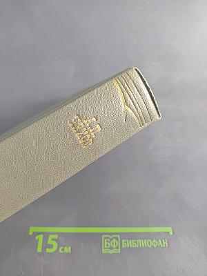 Собрание сочинений. Том одиннадцатый. Письма 1877-1892