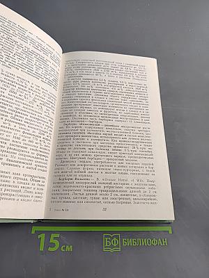 Дикорастущие плоды и ягоды