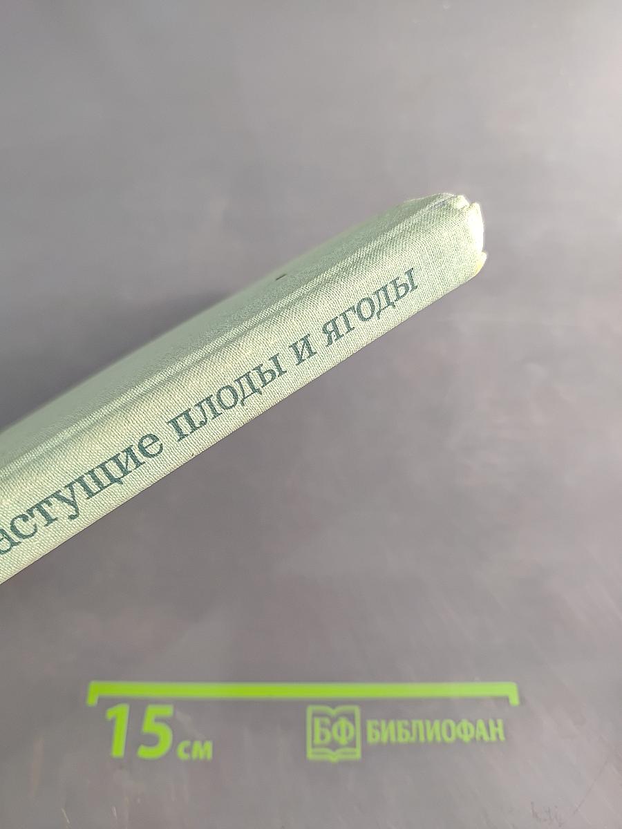 Дикорастущие плоды и ягоды