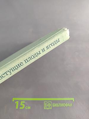 Дикорастущие плоды и ягоды