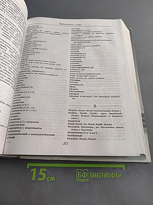 Большой словарь русского языка