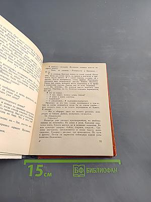 Ночь перед парадом