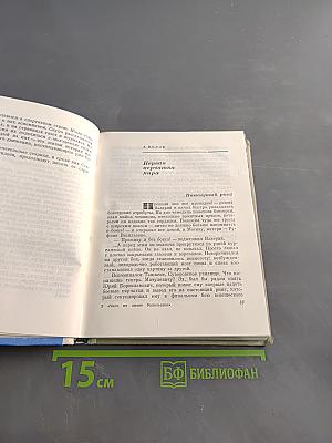 Чего не знает болельщик