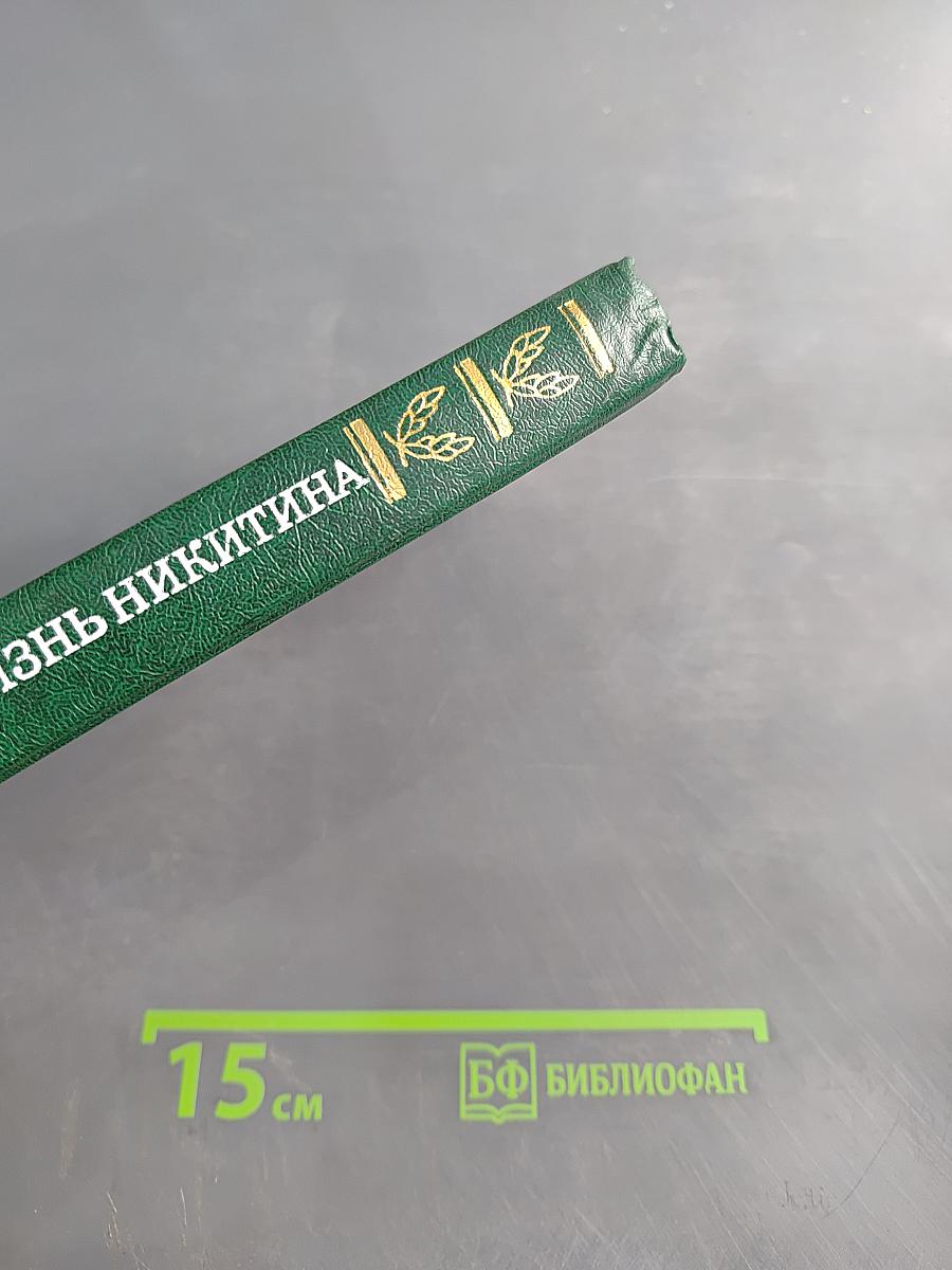 Жизнь Никитина
