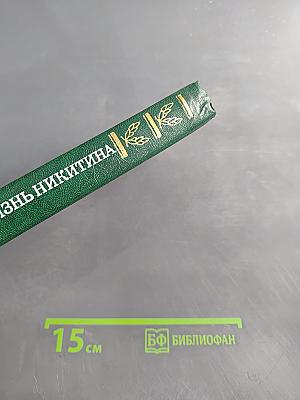 Жизнь Никитина