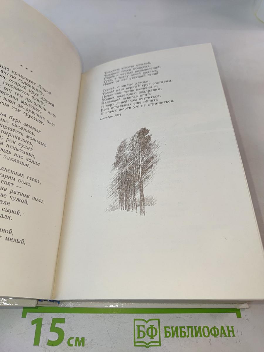 «Полночных стран краса и диво...»