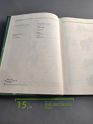 Соседи по планете. Млекопитающие