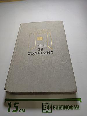 Что за стенами?