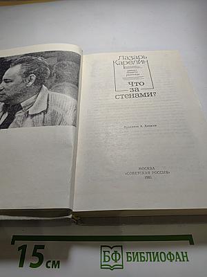 Что за стенами?