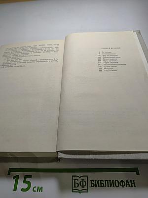 Что за стенами?