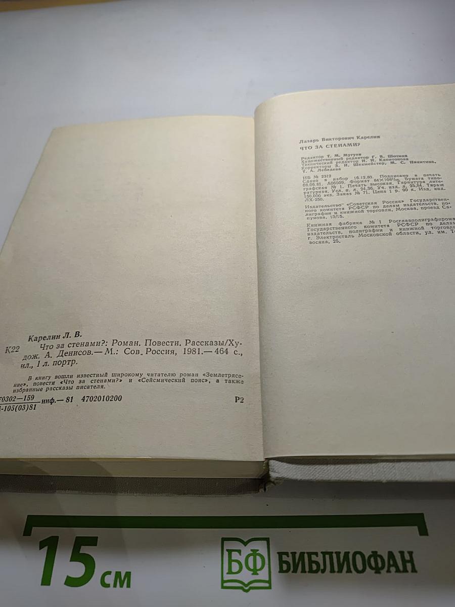 Что за стенами?