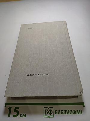 Что за стенами?