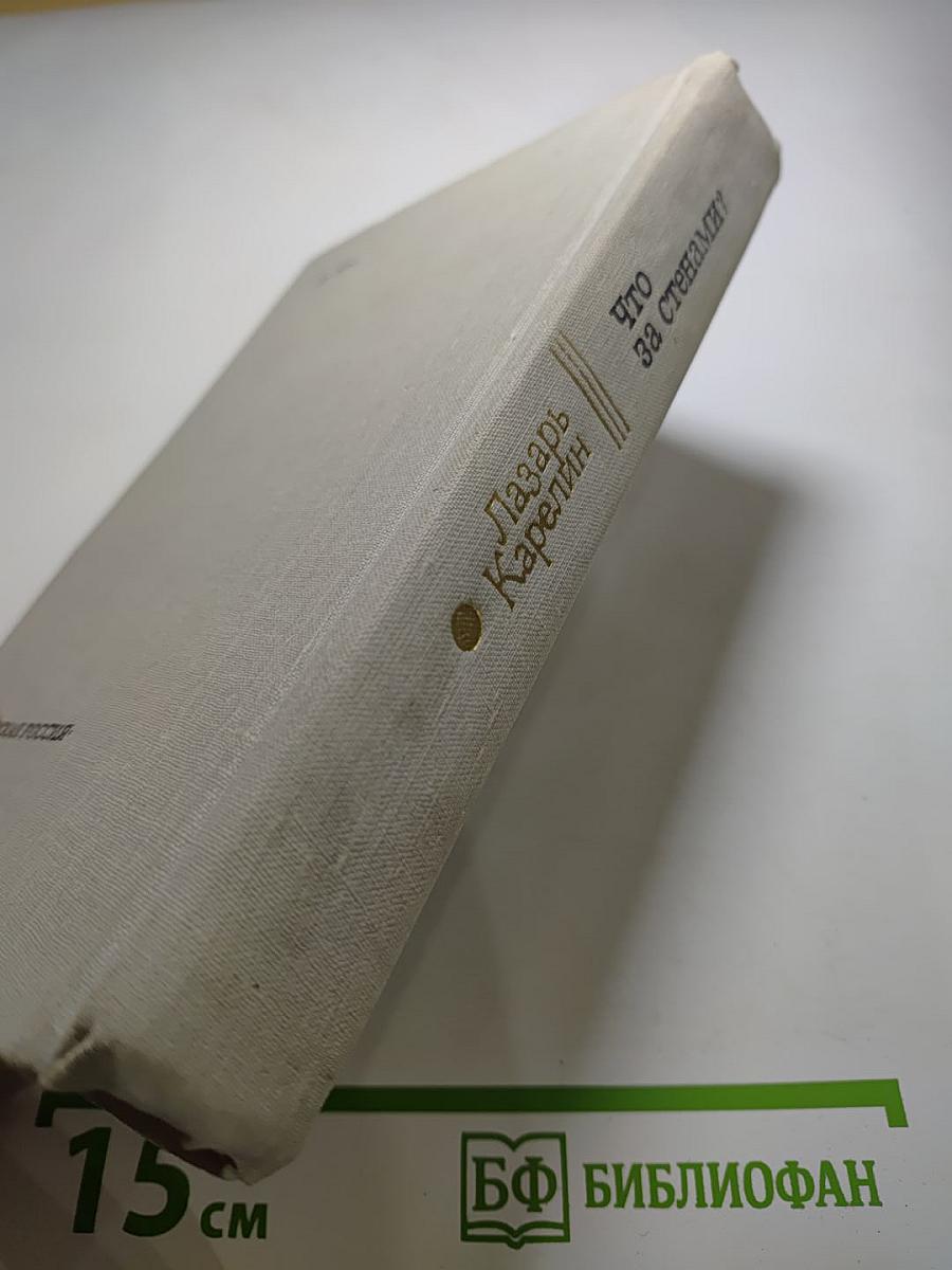 Что за стенами?