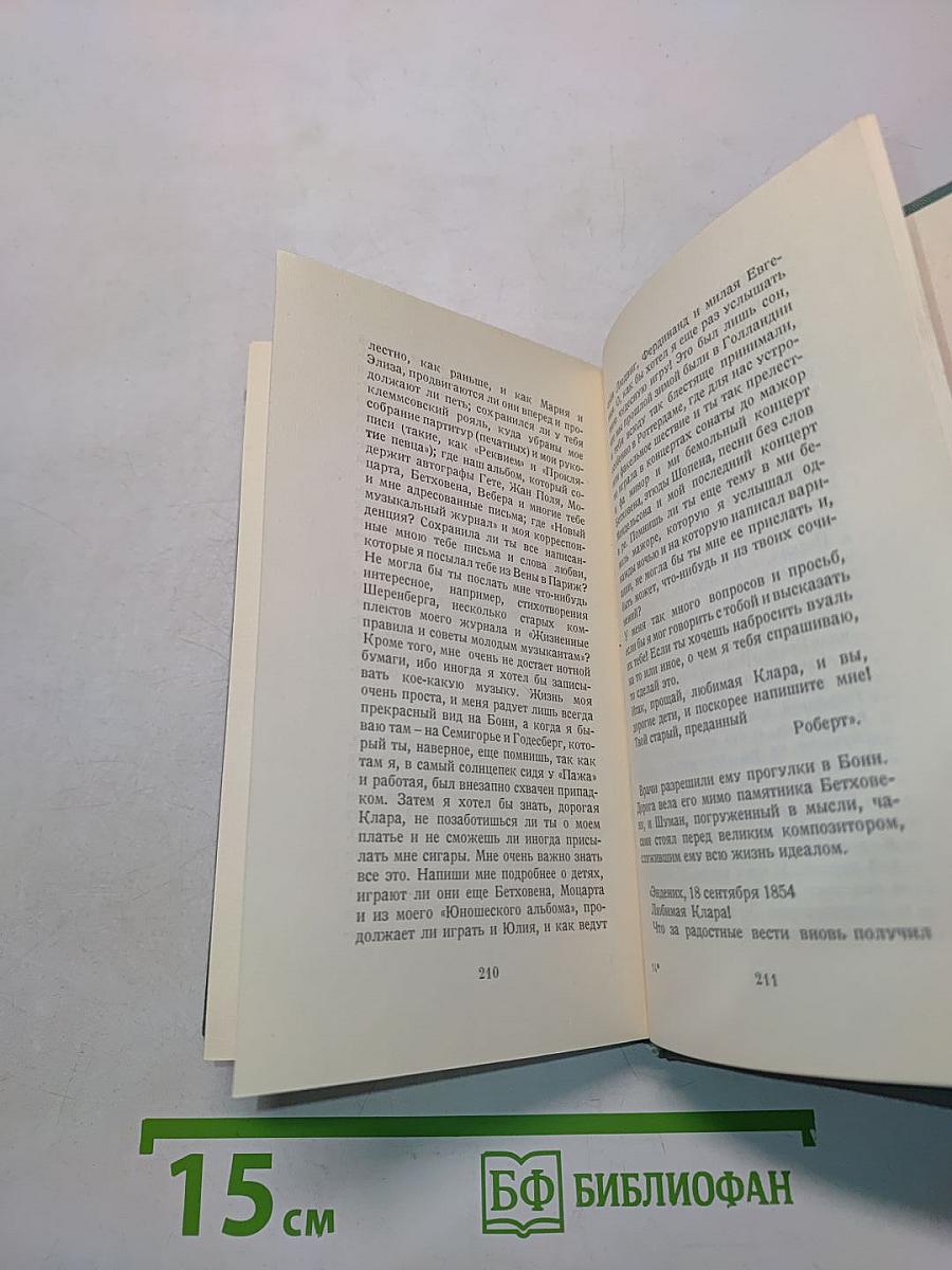 Если бы Шуман вел дневник...