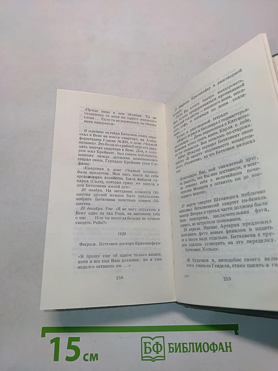 Если бы Бетховен вел дневник...