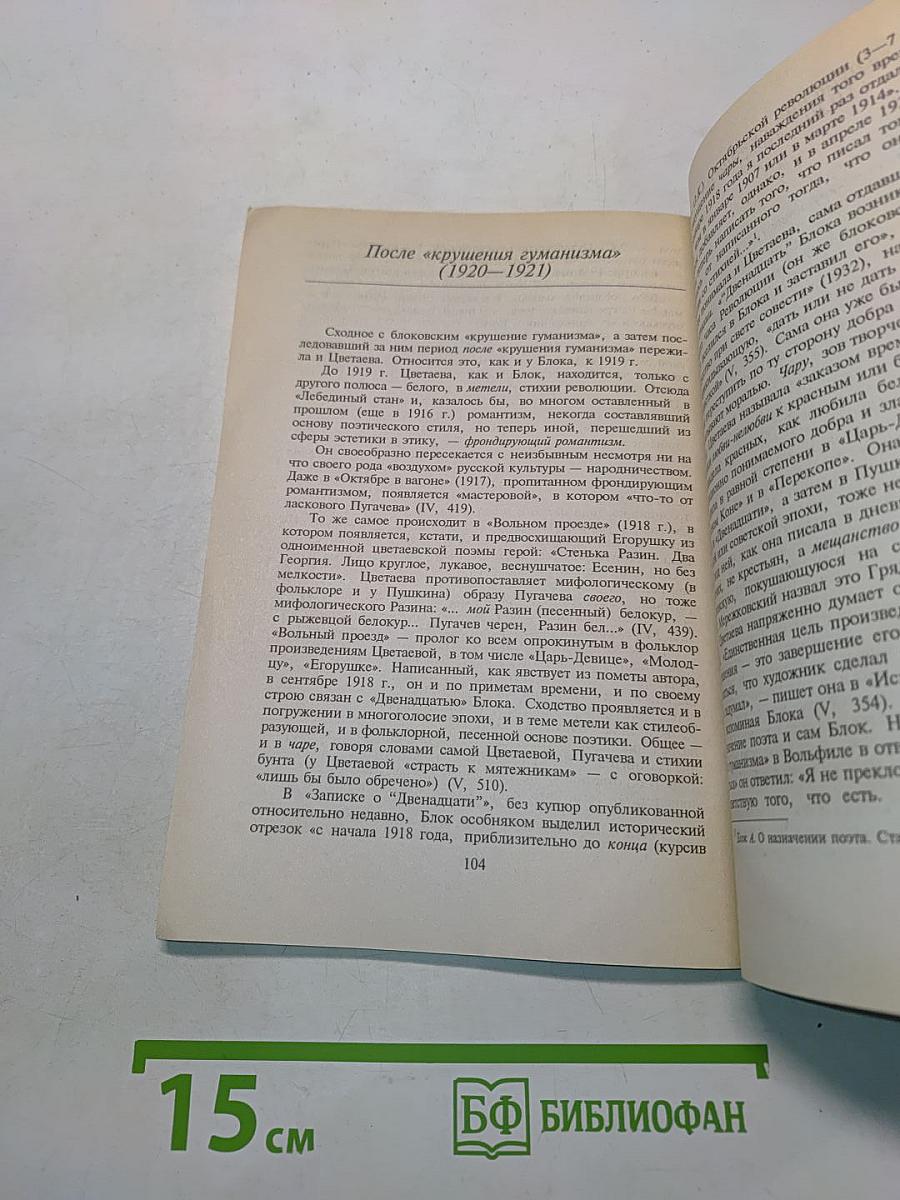 Поэтический мир Марины Цветаевой