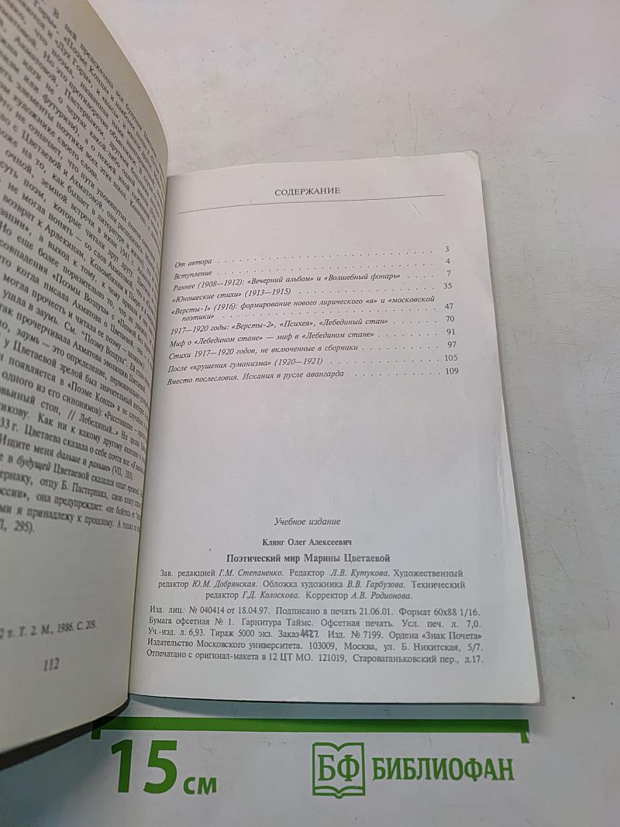 Поэтический мир Марины Цветаевой