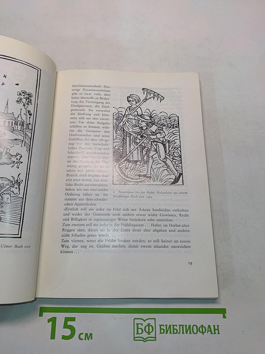 Reise in die Gotik