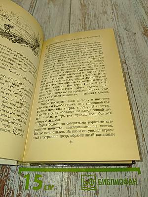 Удивительное путешествие Нильса Хольгерссона с дикими гусями по Швеции. Том 1