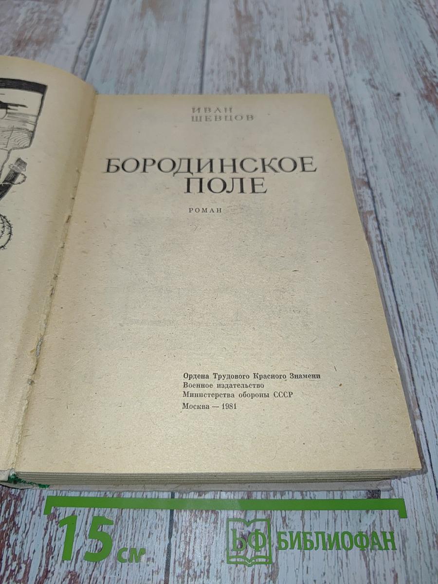 Бородинское поле