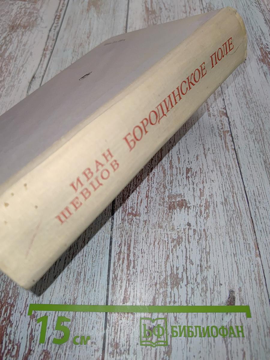 Бородинское поле