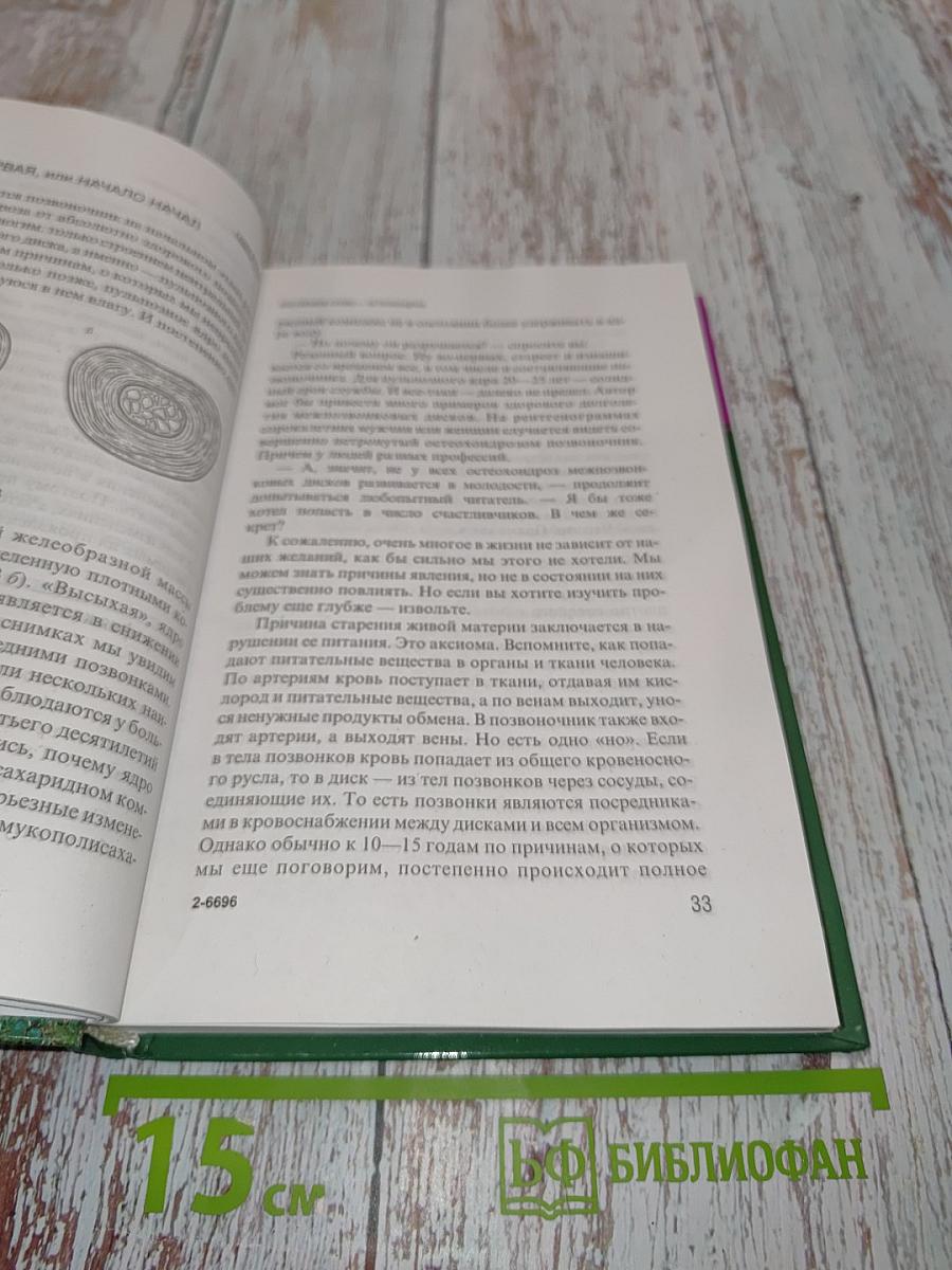 Ваш здоровый позвоночник