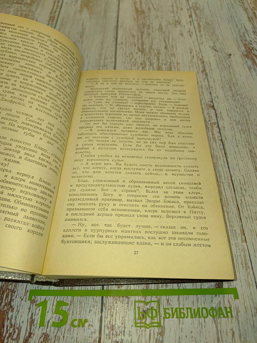 Одиссея капитана Блада. Хроника капитана Блада