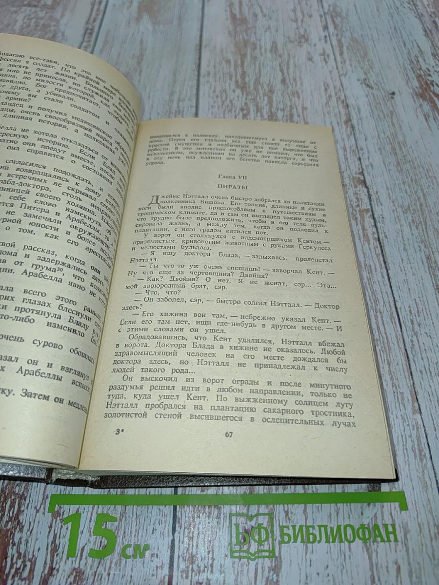 Одиссея капитана Блада. Хроника капитана Блада