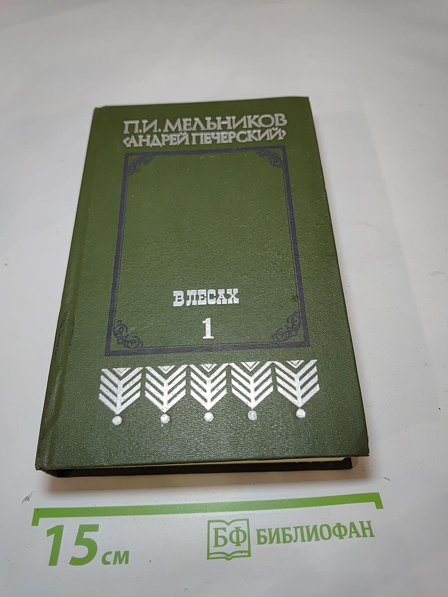 В лесах. Книга первая