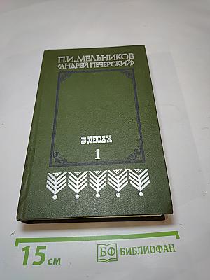 В лесах. Книга первая