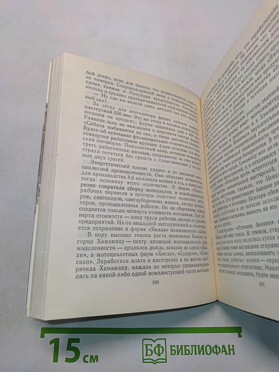 Пятнадцатый камень сада Рёандзи