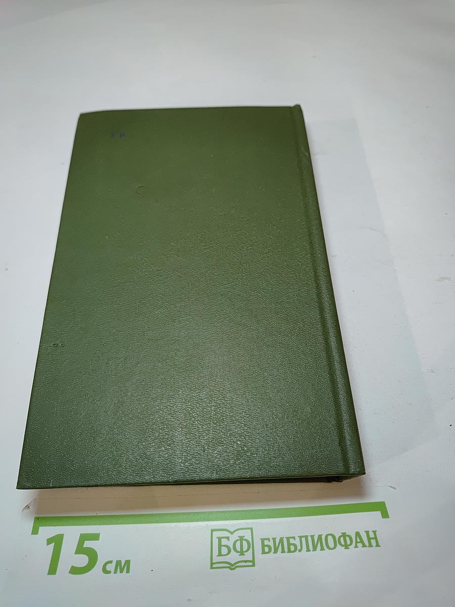 В лесах. Книга первая