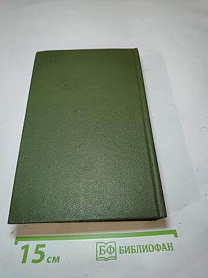В лесах. Книга первая