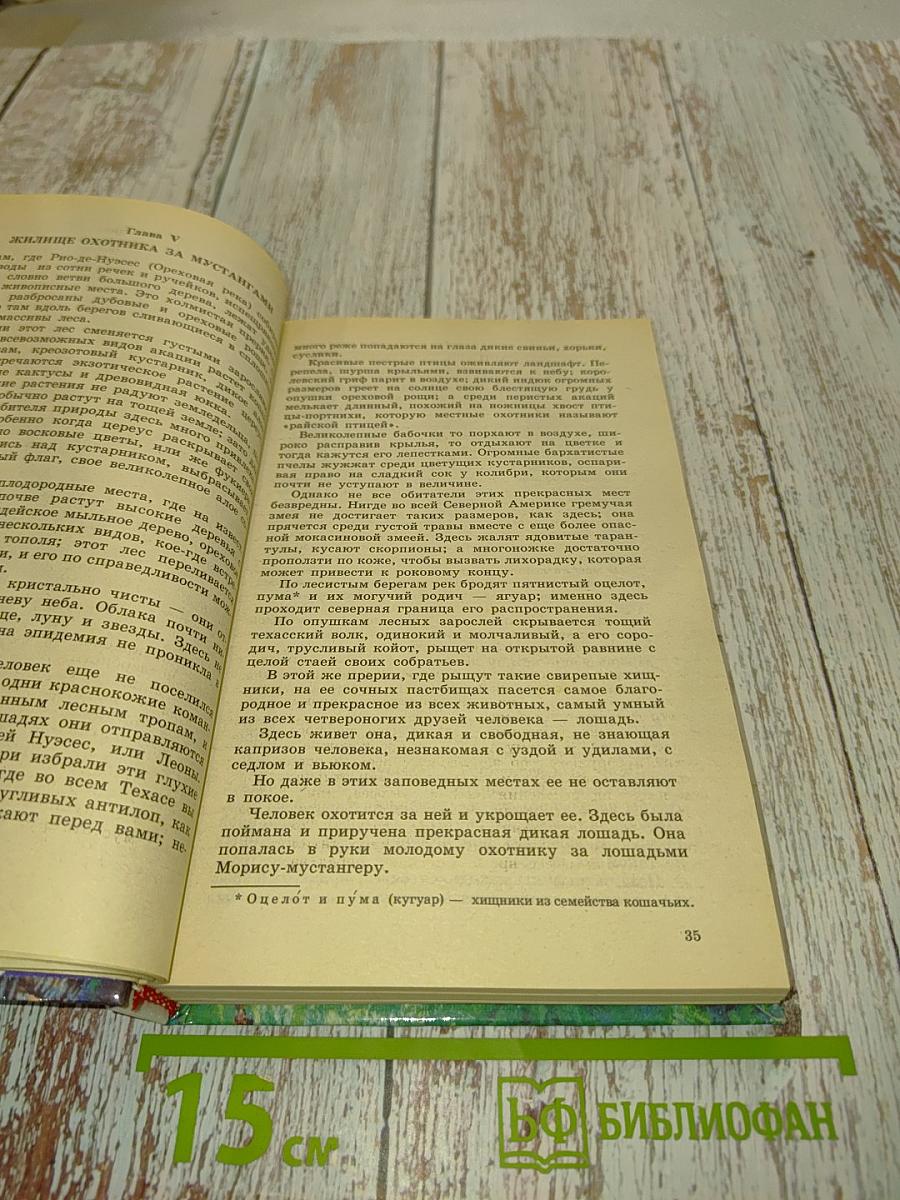 Всадник без головы
