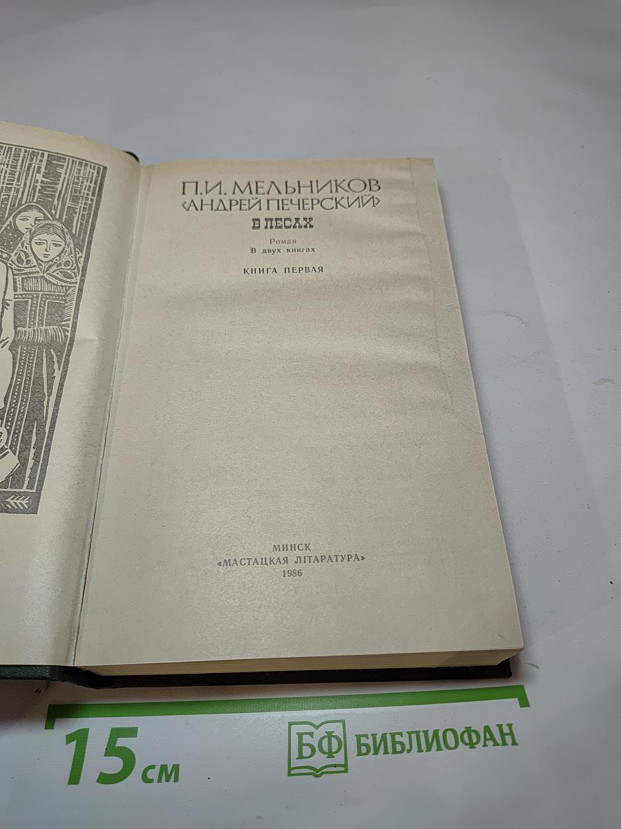 В лесах. Книга первая