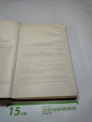 В лесах. Книга первая