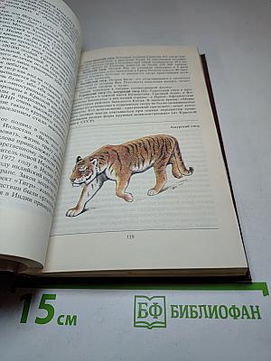 Редкие и исчезающие животные. По страницам Красной книги СССР