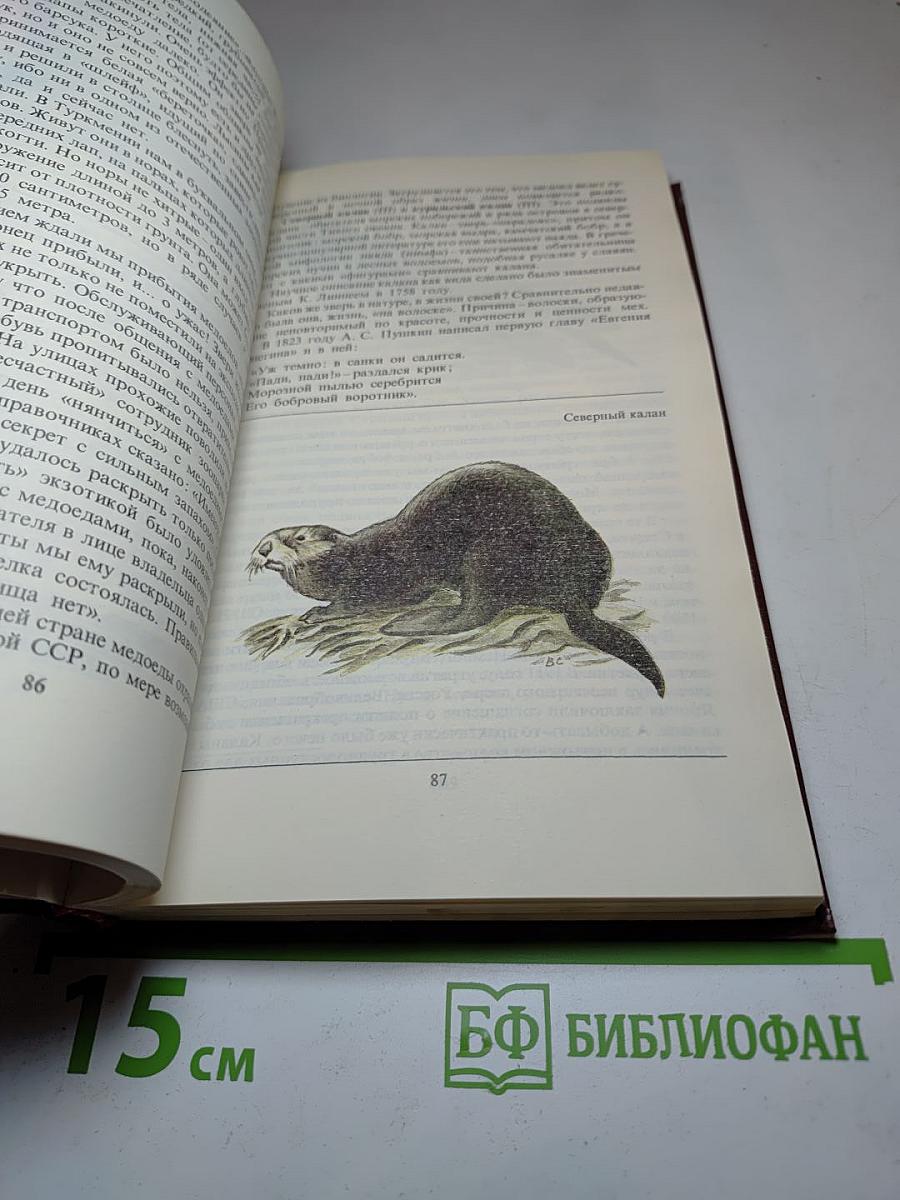 Редкие и исчезающие животные. По страницам Красной книги СССР