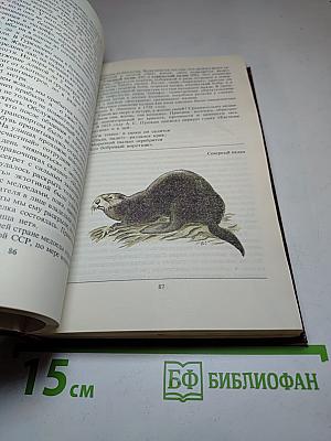 Редкие и исчезающие животные. По страницам Красной книги СССР