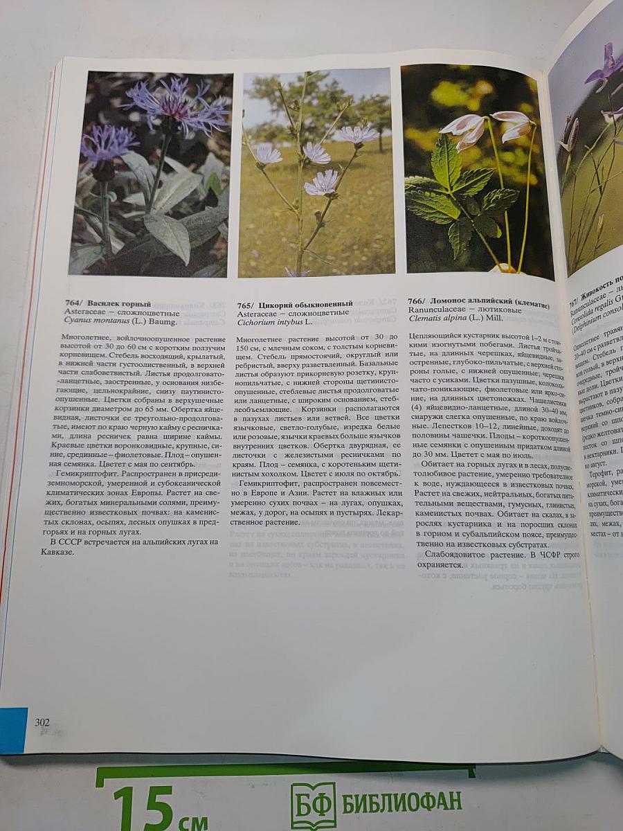 Цветовой атлас растений