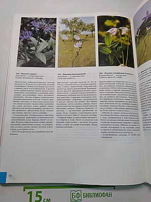 Цветовой атлас растений