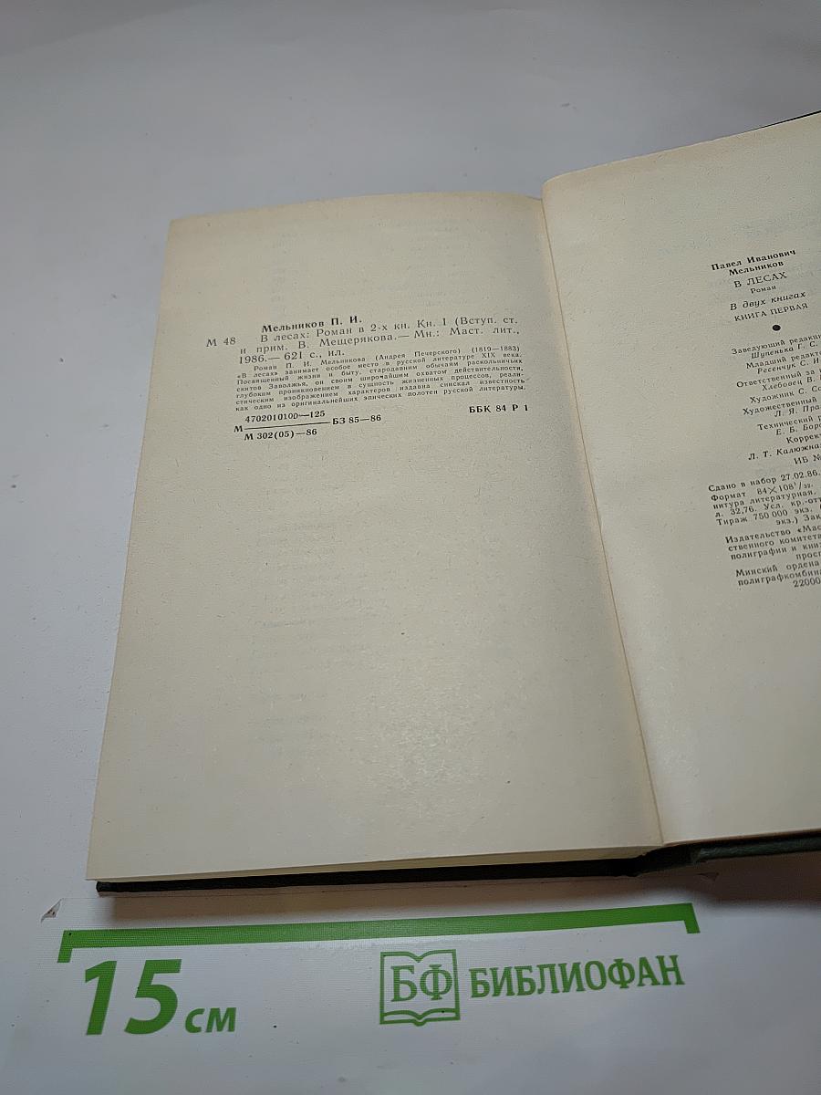 В лесах. Книга первая