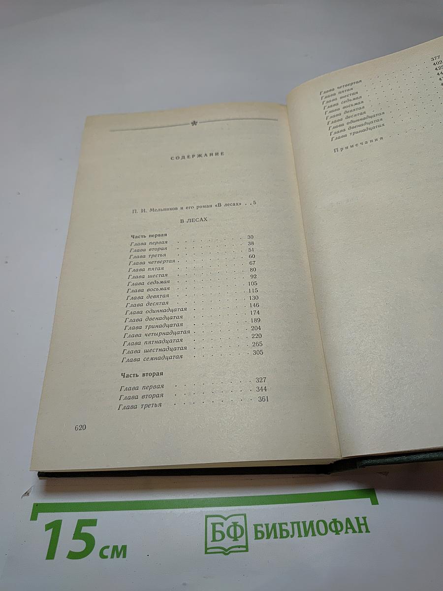В лесах. Книга первая
