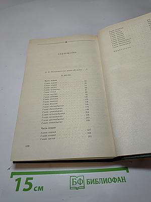 В лесах. Книга первая