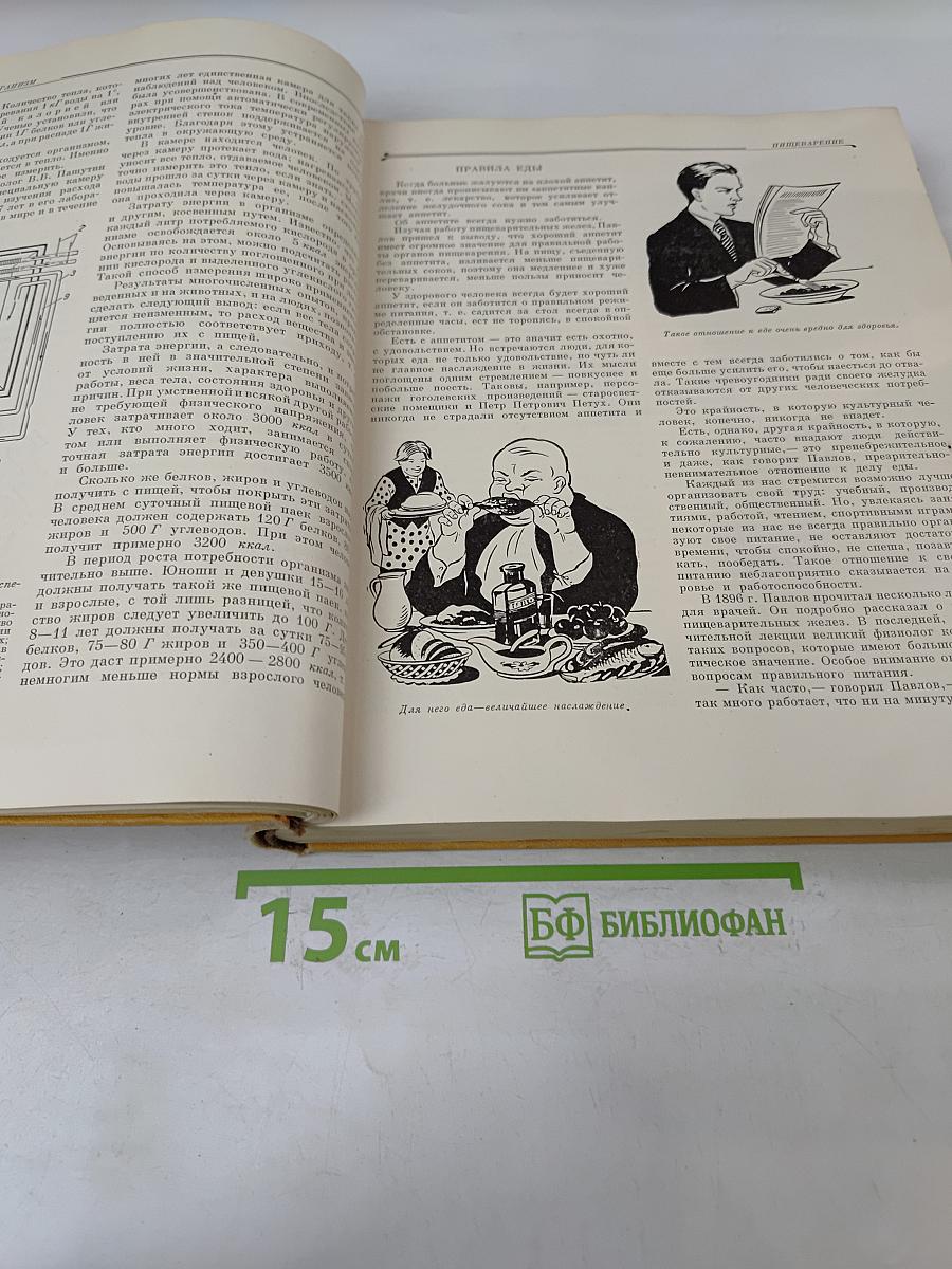 Детская энциклопедия. Человек. Том 6