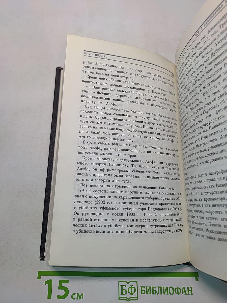 Провокатор. Правда о революционном терроре в России